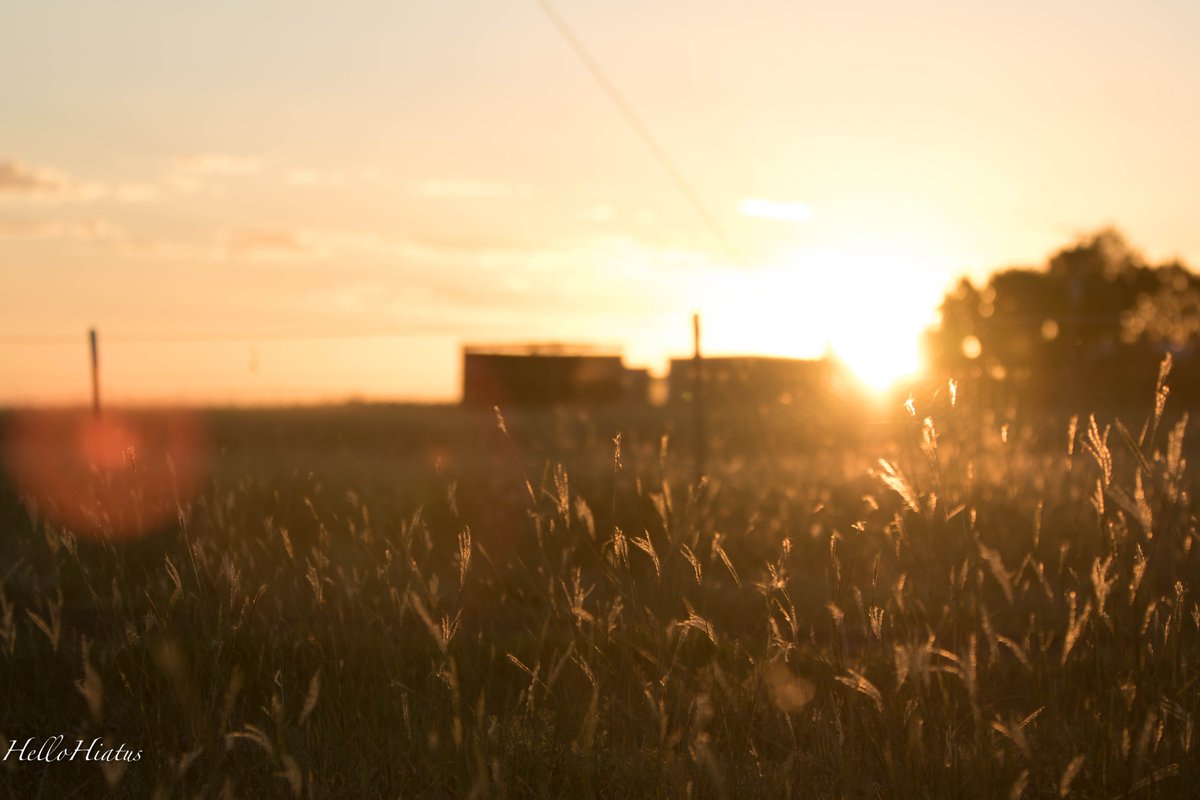 Can you guess what country this was taken in?
instagram.com/hellohiatustra… 
Details on my Instagram, along with some of my favourite travel photos! Beauty is everywhere

#travel #blogger #photography #sunset