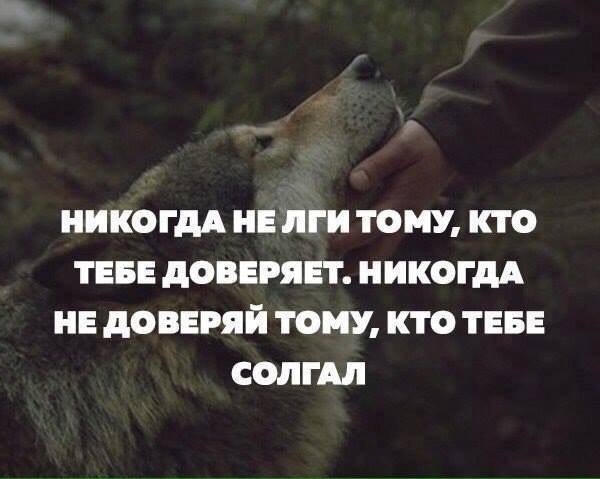 tsitatym's tweet photo. https://t.co/MighjecsUk