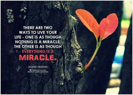 PrachiMalik's tweet photo. @loveGoldenHeart @KariJoys @mindfulheal @gary_hensel @arunbhar @eldiablo0786 @DianneD03113533 @aahana2000 @LantermozRory @belobeauty @AngelHealingArt @coachmekat @KMSHETTYP @AnaMariaIsidro1 @malekalby @Nikhil63870659 Hi Christina N friends!
#KeepRising
#KeepFlying as if you are living a #Life which is a
#MIRACLE!
U are a #UniqueExpression of this #PurposefulMiracle! Think of how #great that makes you.#LiveBig!You are not here to dwell within the basement of your #potentiality!
#BlessedDay https://t.co/96qrphhX30