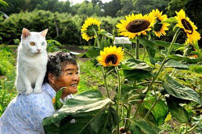 ThePetsDialogue's tweet photo. Owning pets could actually benefit you! Read all 5 benefits here: https://t.co/Zj3PPQihKp 

#wellness #PetsResist #petsofinstagram #PetsAreFamily #AnimalWelfare #animallovers #animaljobs #animalsmatter #dogsarelove #dogsofinstagram #DogRight #catsarelove #catstravaganza https://t.co/JbUZdI7b93