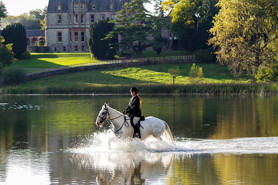 Equus Journeys tweet media