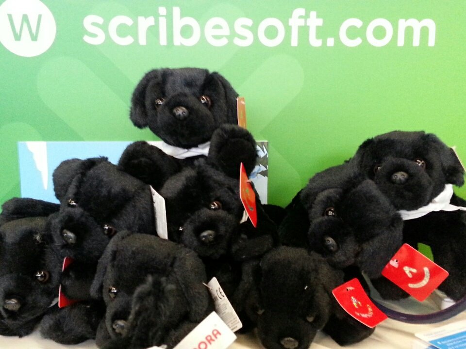 ScribeEMEA's tweet photo. Don't leave #SalesforceTour without (wo)man's best friend - #scribeshadow #salesforcereplication https://t.co/K5qcri8Fux