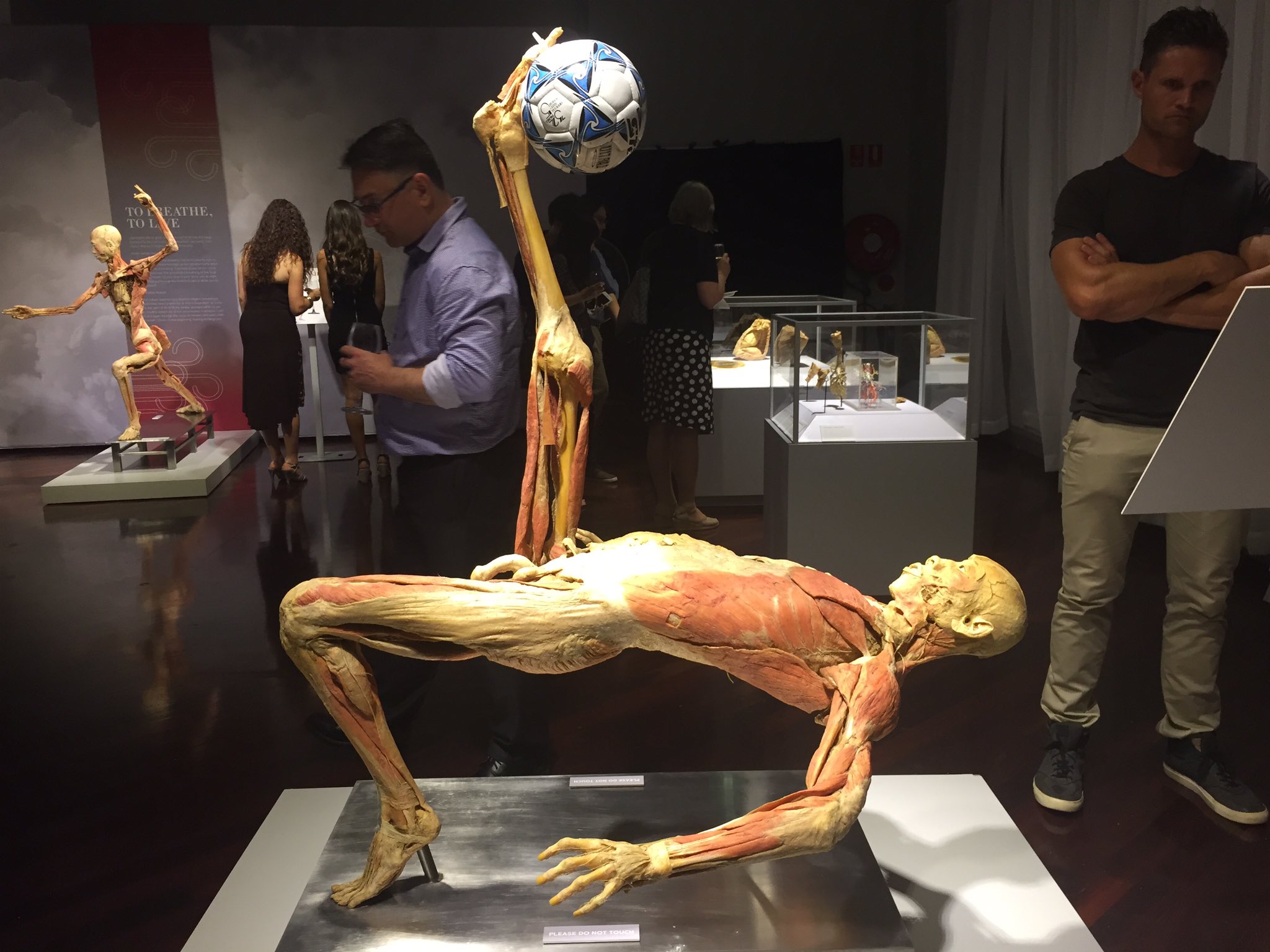 Real Bodies The Exhibition on Twitter: "What an amazing turnout tonight