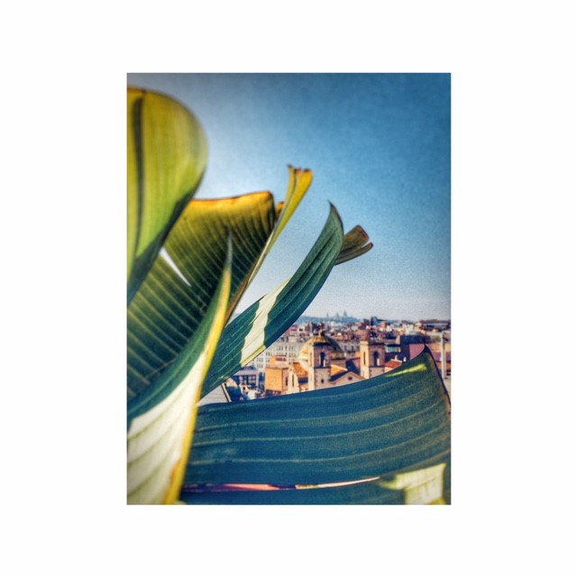 HotelMidMost's tweet image. Unforgettable views under the sunrays
.
.
.
#rooftopmidmost #sunrays #barcelonarooftop #midmostemotions #photooftheday #sun #bestview #hotelmidmost
