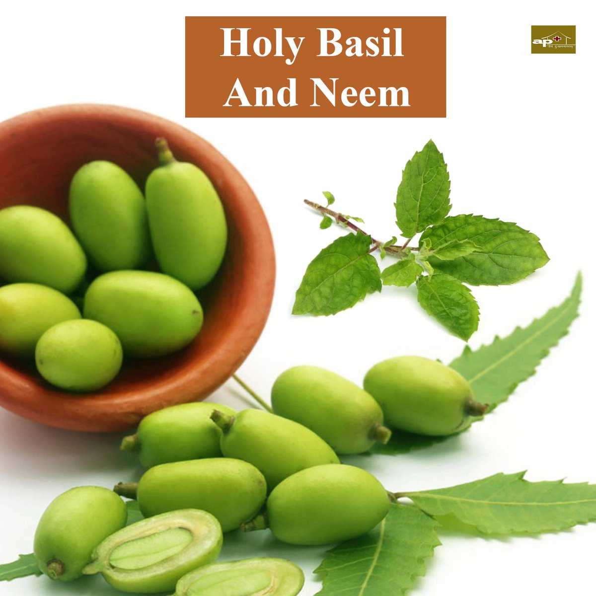 aartiparimal's tweet photo. Ayurvedic Treatments For Glowing Skinn !!!
https://t.co/mS476L3naT
#AloeVeraAndLemon #Gooseberry #Papaya #HolyBasil #Neem #Saffron #OliveOil #Sandalwood #AlmondPowder #Turmeric #RiceFlour #Ayurvedacharya #APClinic #Ayurveda #AyurvedicTips #APClinic #APClinicVadodara https://t.co/HQ6FMreTU3