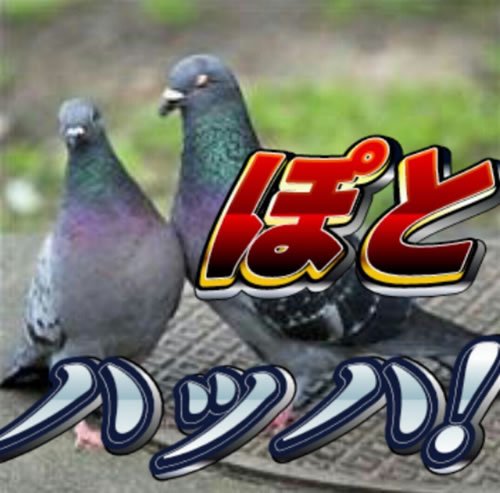 ファッ休 tweet media
