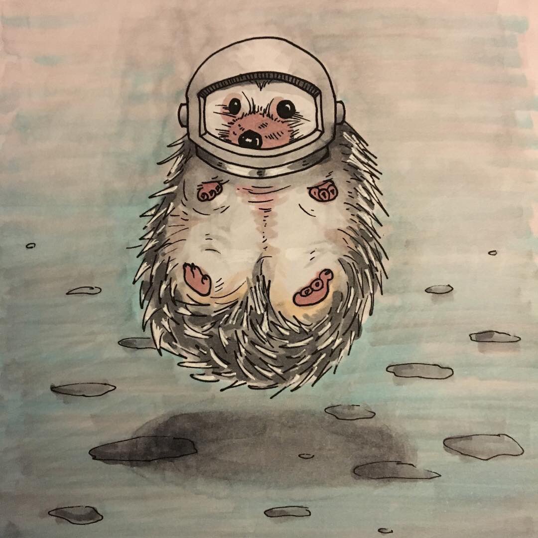 Ежик космонавт