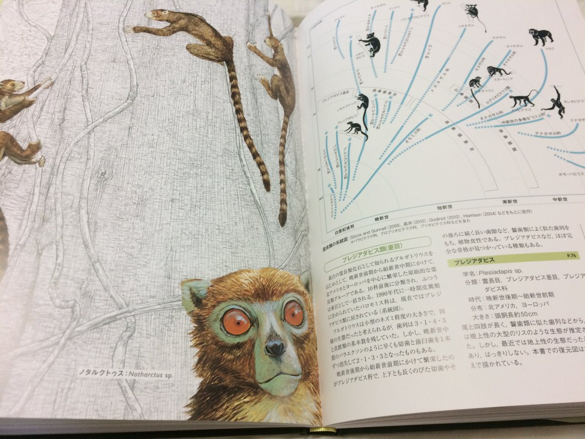 新版 絶滅哺乳類図鑑』購入。かつて地球に存在した、姿も大きさも様々