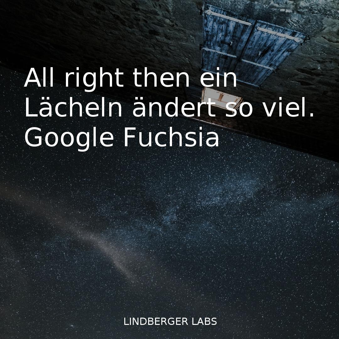 thorlindberger's tweet image. #googlefuchsia #linux #nullpointer #googlefuchsiaberger