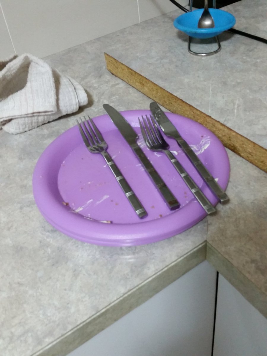 I told my husband  to be careful  when washing up my royal  dalton  plates