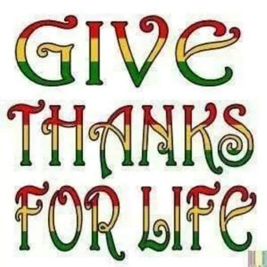 Taz Whyte tweet media