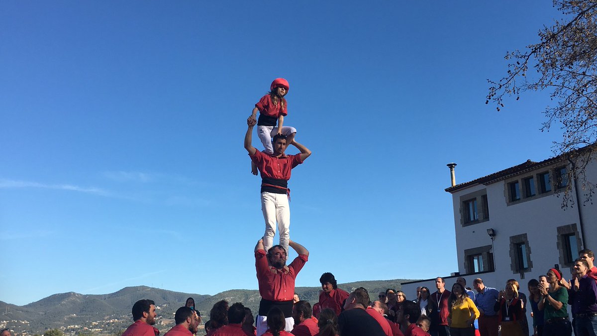 teamtowers tweet media