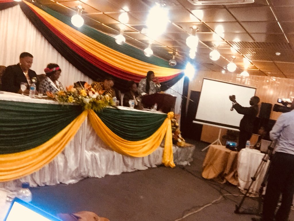 TaLI is attending Zimbabwe #CSW62 review 2 reflect on it, plan for #CSW63. Very impressive!  @phumzileunwomen @unwomenafrica @parliamentzim @capitalkfm @ZBCNewsonline @ZBCNewsonline @ZNCWC @SwedeninZW @NLinZimbabwe @CanEmbZimbabwe @CatrionaLaing1