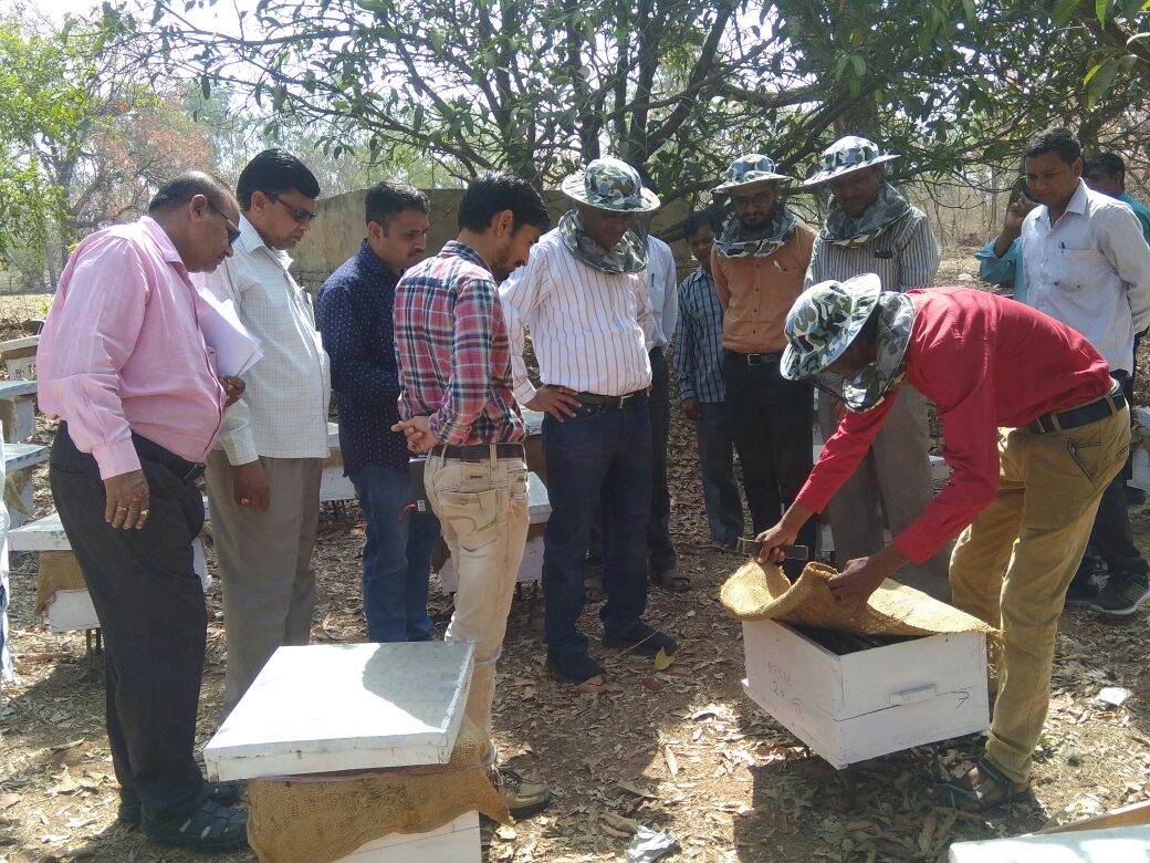 R K Patel (IAS) District Devlopment Officer Dahod tweet media
