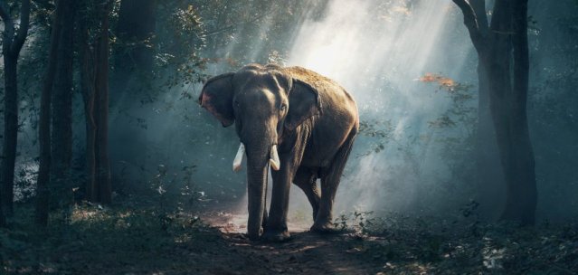 Reuben Melville tweet media