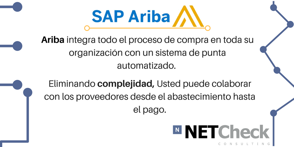NETCheckSA's tweet photo. En #NETCheck te ofrecemos soluciones para un comercio simple.  #SAPAriba https://t.co/EIk98suBPy