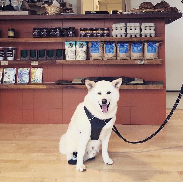 Poplar Union | East London Arts Venue tweet media