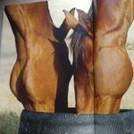 健全 どう見ても健全な写真なのに見間違える人続出 私の心は穢れているようだ Togetter 健全 どう見ても健全な写真なのに見間違える人続出 私の心は穢れているようだ Togetter