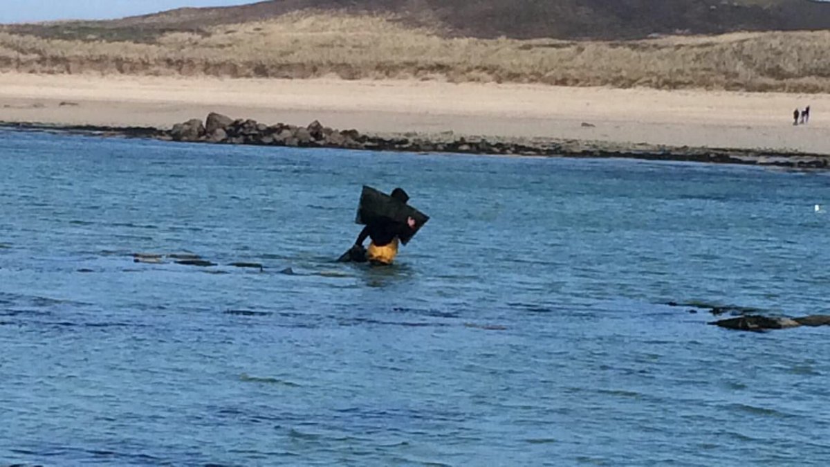 Life of an oyster farmer.... Love  #HermIsland  ❤️

#oysterfarmersarehardcore  #oystersgrowninparadise