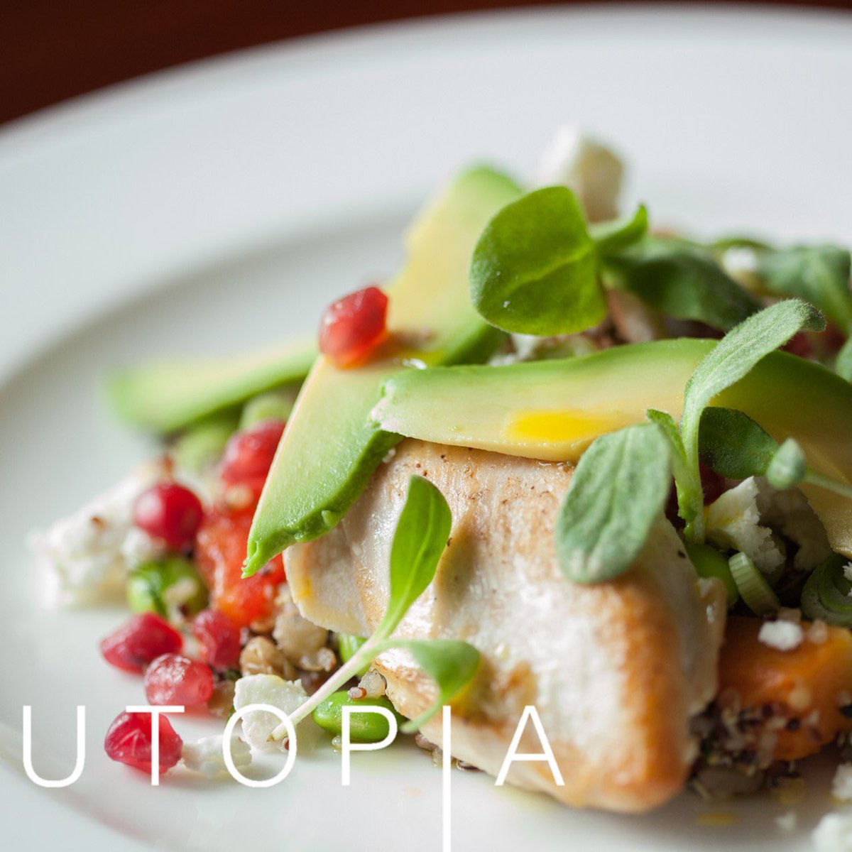 Looking for catering for your event? Get in touch to see some sample menus! #event #catering #food #foodporn #wedding #weddingfood #weddingcatering #luxuryfood #luxuryevents