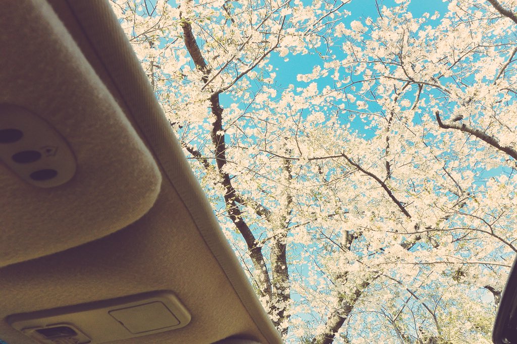 Ens_BEARS_SEAL2's tweet photo. 🌘 Eclipse x SAKURA 🌸
#mitsubishi_eclipse #eclipse2g #dsm_eclipse #オフ会 #三菱エクリプス #愛車と桜 #桜 #sakura https://t.co/I28TF6URV2