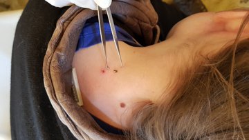 Voir l'image sur Twitter