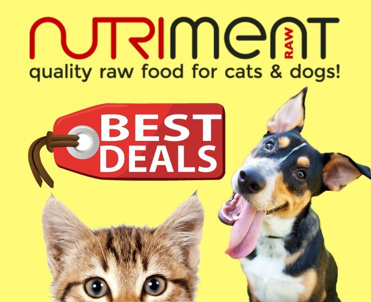 That Pet Place 🐾 (@thatpetplaceuk) on Twitter photo Visit thatpetplace.co.uk to check out our <a href="/NutrimentRaw/">Nutriment Raw</a> Deals or <a href="/visitalcester/">VisitAlcester</a> and our High Street Shop! #rawfood #deals #alcester <a href="/5adayalcester/">5adayalcester</a> <a href="/TurksAlcester/">The Turks Head</a> <a href="/CoffeePleaseUK/">Coffee Please</a> <a href="/mustardmashltd/">Mustard Mash</a> <a href="/GreigLifestyles/">The Greig Lifestyles</a> <a href="/Xav_Anderson/">Xav Anderson - Clockwork City</a> @WarksTN Visit thatpetplace.co.uk to check out our <a href="/NutrimentRaw/">Nutriment Raw</a> Deals or <a href="/visitalcester/">VisitAlcester</a> and our High Street Shop! #rawfood #deals #alcester <a href="/5adayalcester/">5adayalcester</a> <a href="/TurksAlcester/">The Turks Head</a> <a href="/CoffeePleaseUK/">Coffee Please</a> <a href="/mustardmashltd/">Mustard Mash</a> <a href="/GreigLifestyles/">The Greig Lifestyles</a> <a href="/Xav_Anderson/">Xav Anderson - Clockwork City</a> @WarksTN