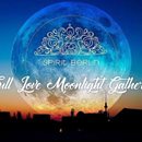 Spirit Berlin tweet media