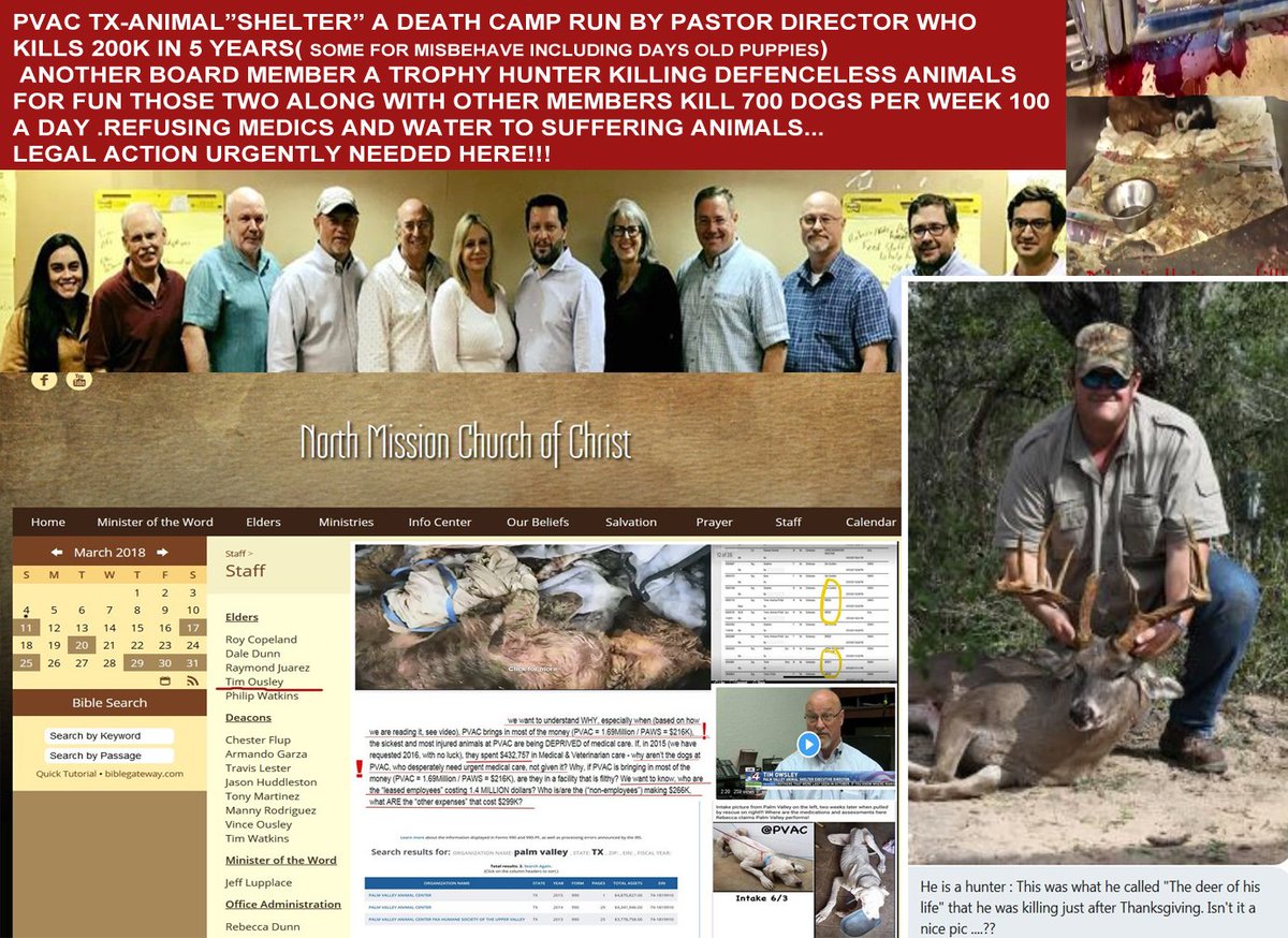 righttospeak3's tweet image. AFTER EXPOSING SHOCKING ANIMAL ABUSE PERFORMED @PVACTX THEY ASK FOR MERCY ON THE BASE OF ROTTEN LIES (AS IN THE PAST) WELL ..#PVACTX THERE ARE HUNDREDS THOUSAND PEOPLE WHO WANT TO SHOW YOU A MERCY-THE SAME WAY AS YOU SHOWING "MERCY" TO ANIMALS