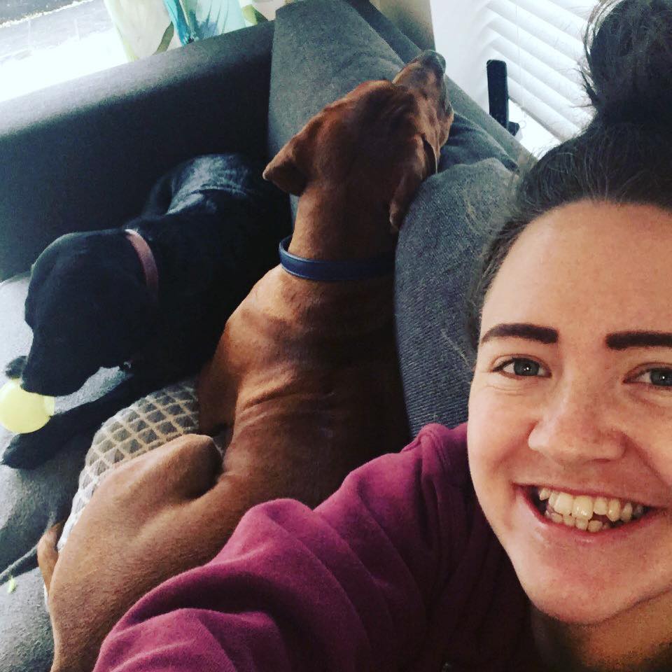 That Pet Place 🐾 tweet media