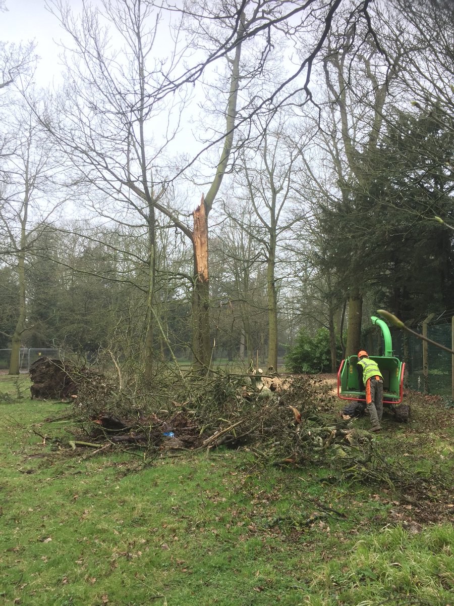 Haine Tree Services tweet media