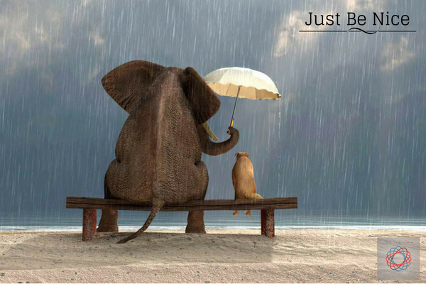 Get_The_Idea's tweet photo. https://t.co/IvUYJSQiaD #begood #benice #bepolite #behuman https://t.co/zWL1k9RVZk