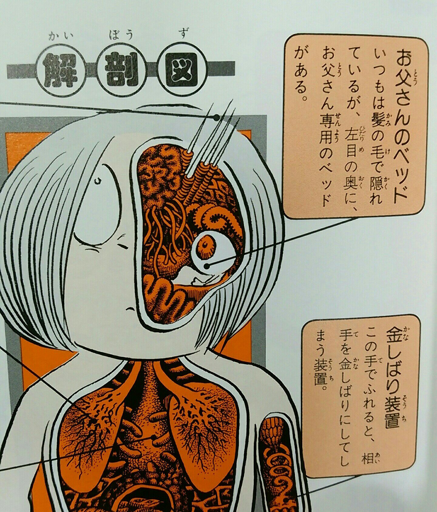 当時のメディア報道・掲載写真