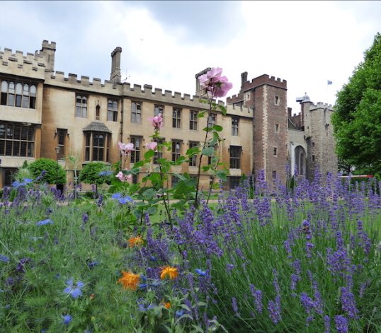 Our 50+ social group are getting excited about tomorrow’s visit to <a href="/lambethpalace/">Lambeth Palace</a> gardens - fingers crossed no rain! ☔️ 
Get in touch to find out more about our #HIV and #ageing programmes. #London #charity #positivelyageing #PeerSupport 🌸😃
