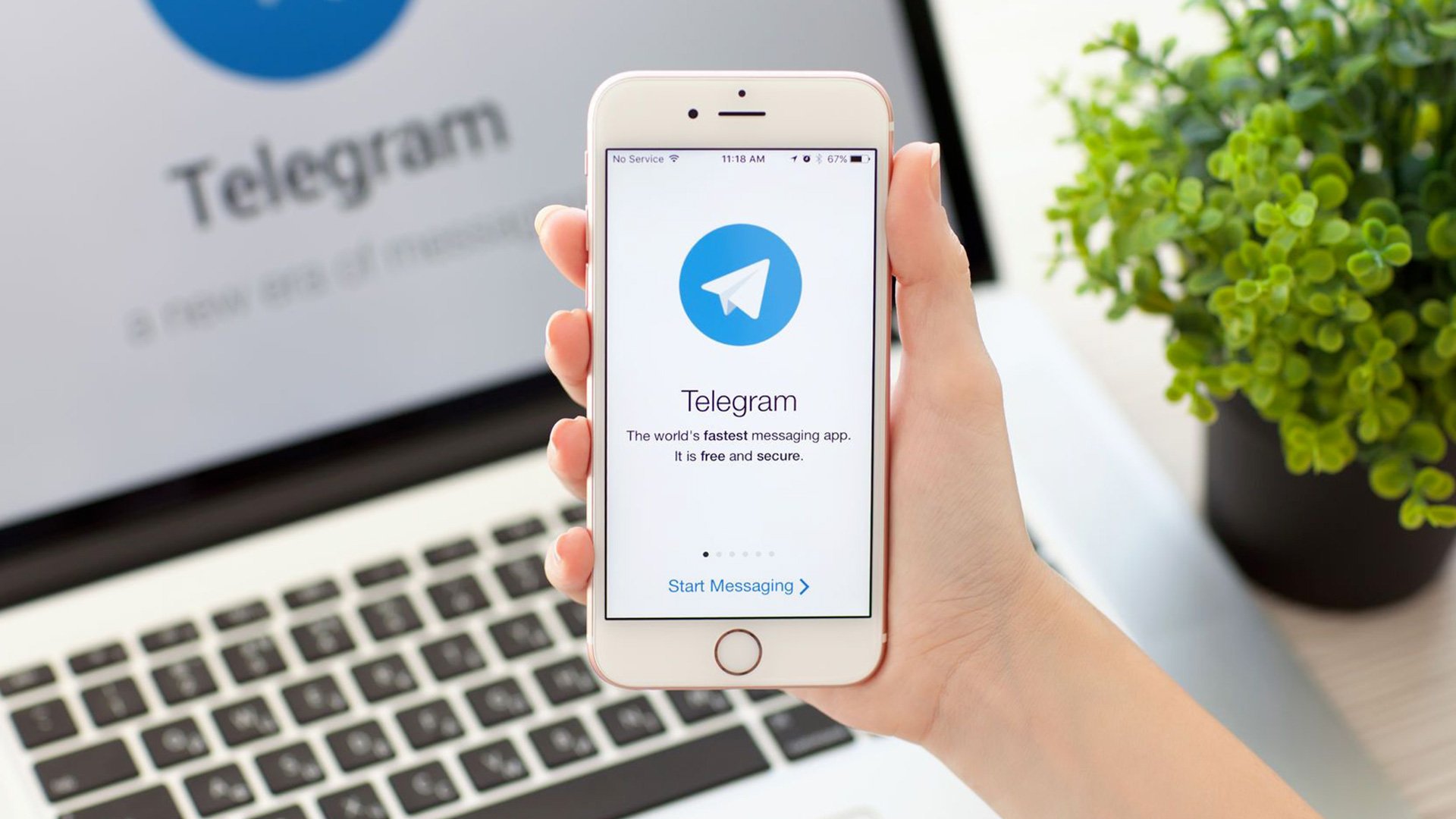 telegram