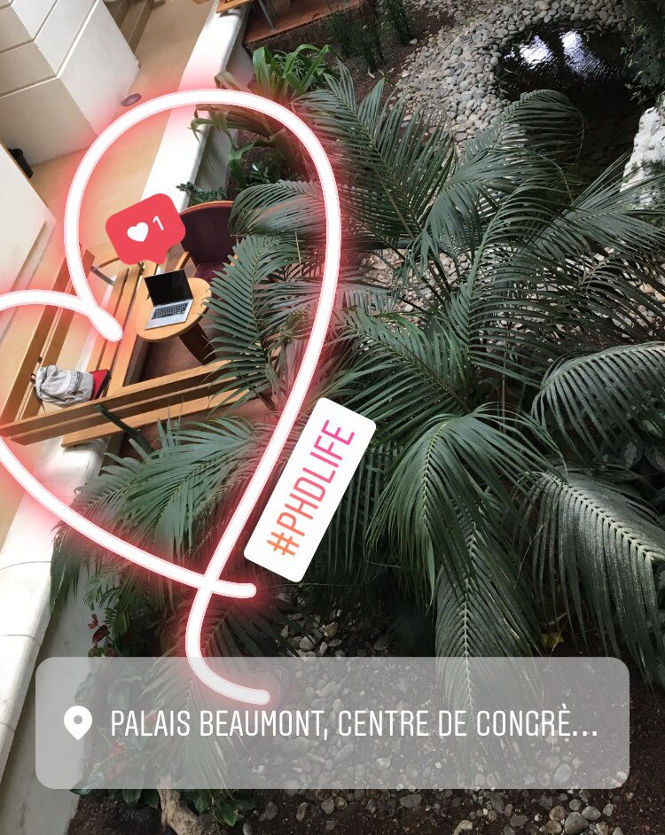 Juliana A. Pereira tweet media