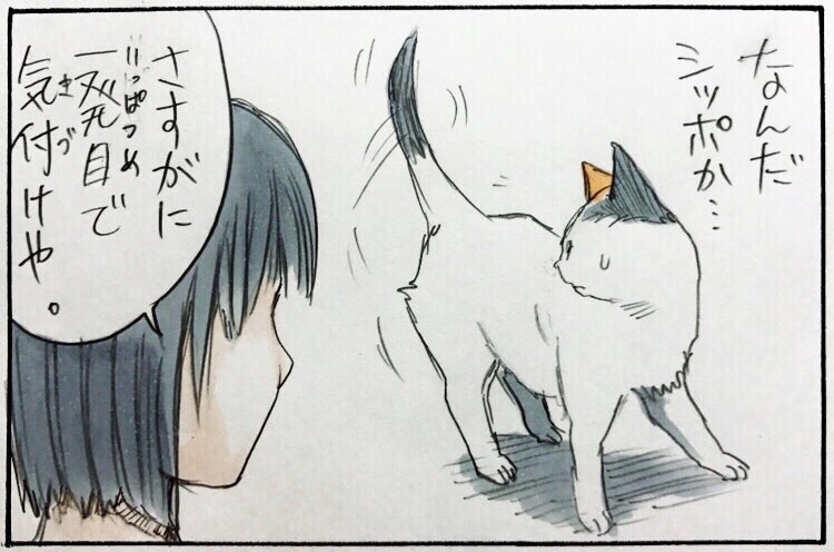 『気配』 