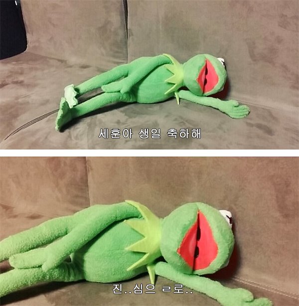 iridescent_boy's tweet image. 세훈과 여러분을 위해서라면 이 한 몸,.,/,./..,,