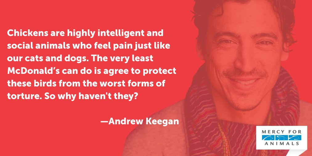Thank you for telling <a href="/McDonalds/">McDonald's</a> that abusing chickens is WRONG, <a href="/keegan_drew/">Andrew Keegan</a>! #McDonaldsCruelty mcdonaldscruelty.com