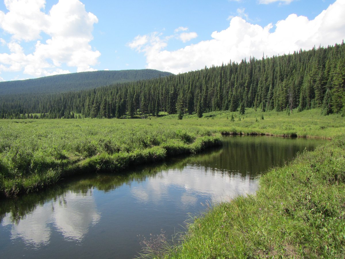 alberta_bha's tweet photo. Soon.... #explore #publiclands #BHAAlberta #trout #fishing #hunt #hunting #albertahunting #keepitpublic #albertafishing #explorealberta #yyc #yql #yeg #yqf #calgary #edmonton #lethbridge #reddeer #bighornwildland #ramriver Credit: D. Baayens https://t.co/zJ4dhJwxHb