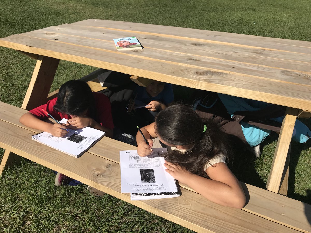 Laura Bringmann tweet media