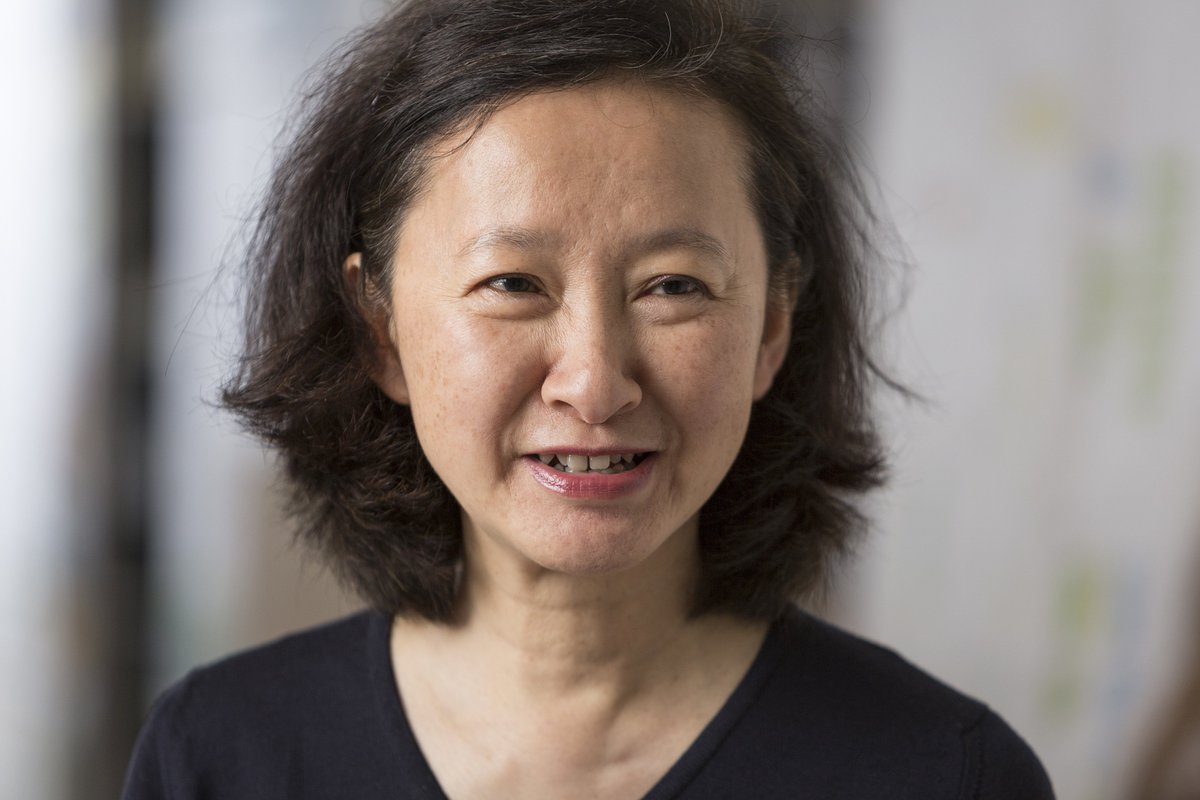 Cullinan Studio tweet media