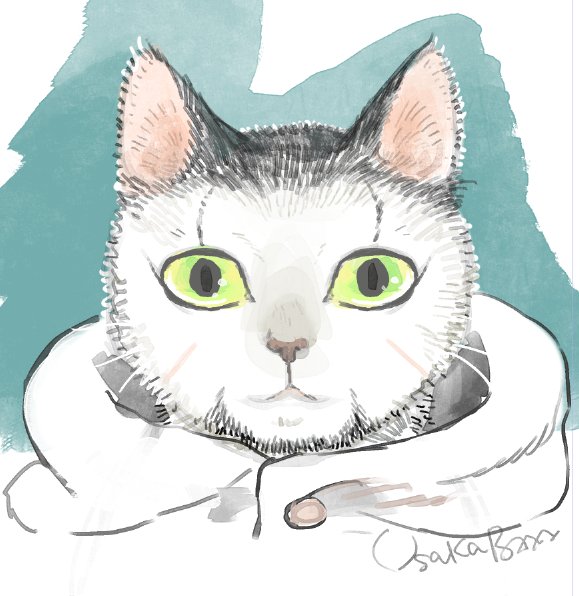 「green eyes whiskers」 illustration images(Oldest)