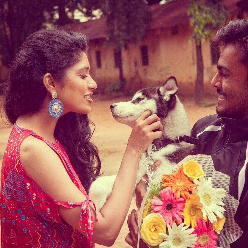 samyuktahornad's tweet image. If I attack you, make bad taste remarks, insult you a lot and try biting you a little... I’m probably madly in love with you. 
#worstbehaviour