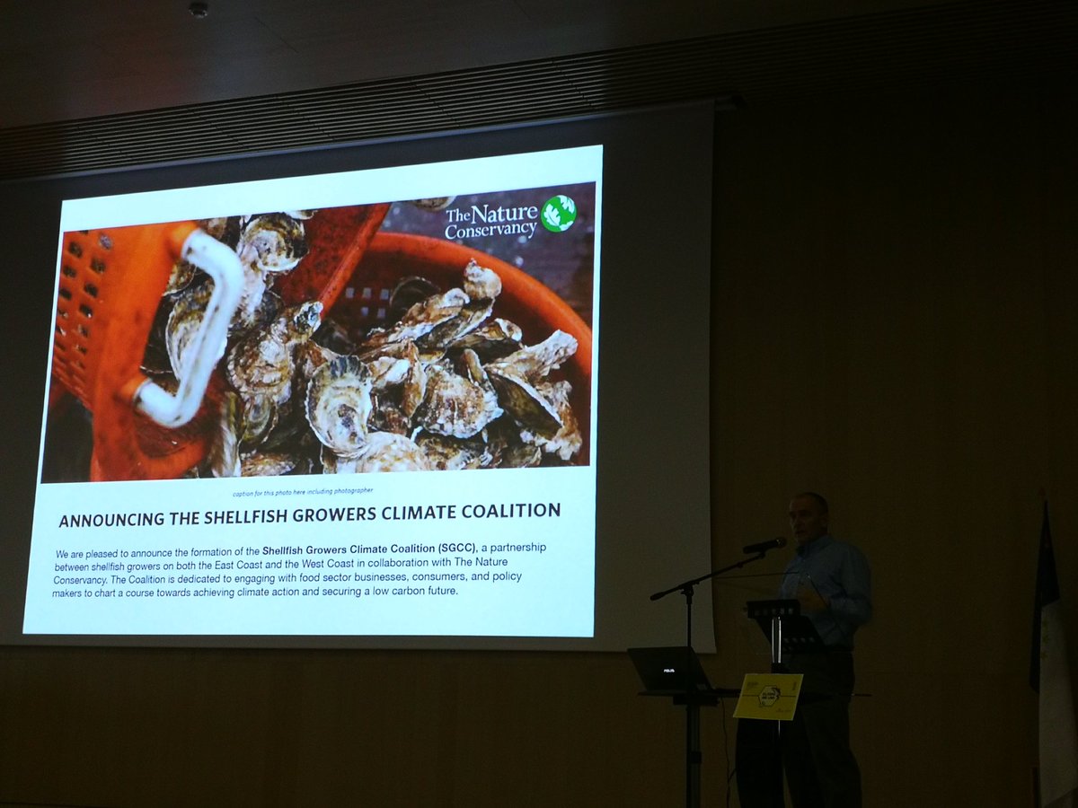 Robert Ellis tweet media