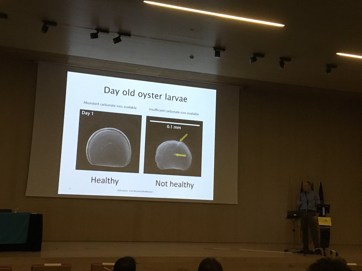 Susan Fitzer tweet media