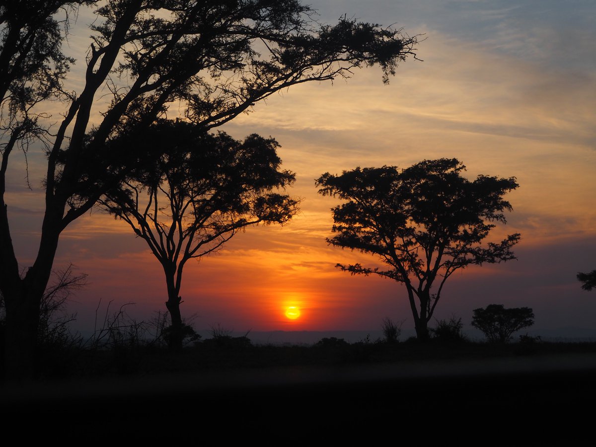 This can be your view after spending your day working in a classroom with educators and students in Uganda. Check us out at volunteeruganda.org
#VolunteerUganda