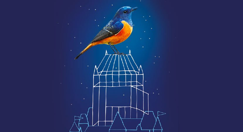simonxwilkinson's tweet image. Very excited that this has now been announced! This July, I'll be lighting a new production of The Magic Flute for the Festival D'Opéra de Québec, directed by Robert Lepage. festivaloperaquebec.com