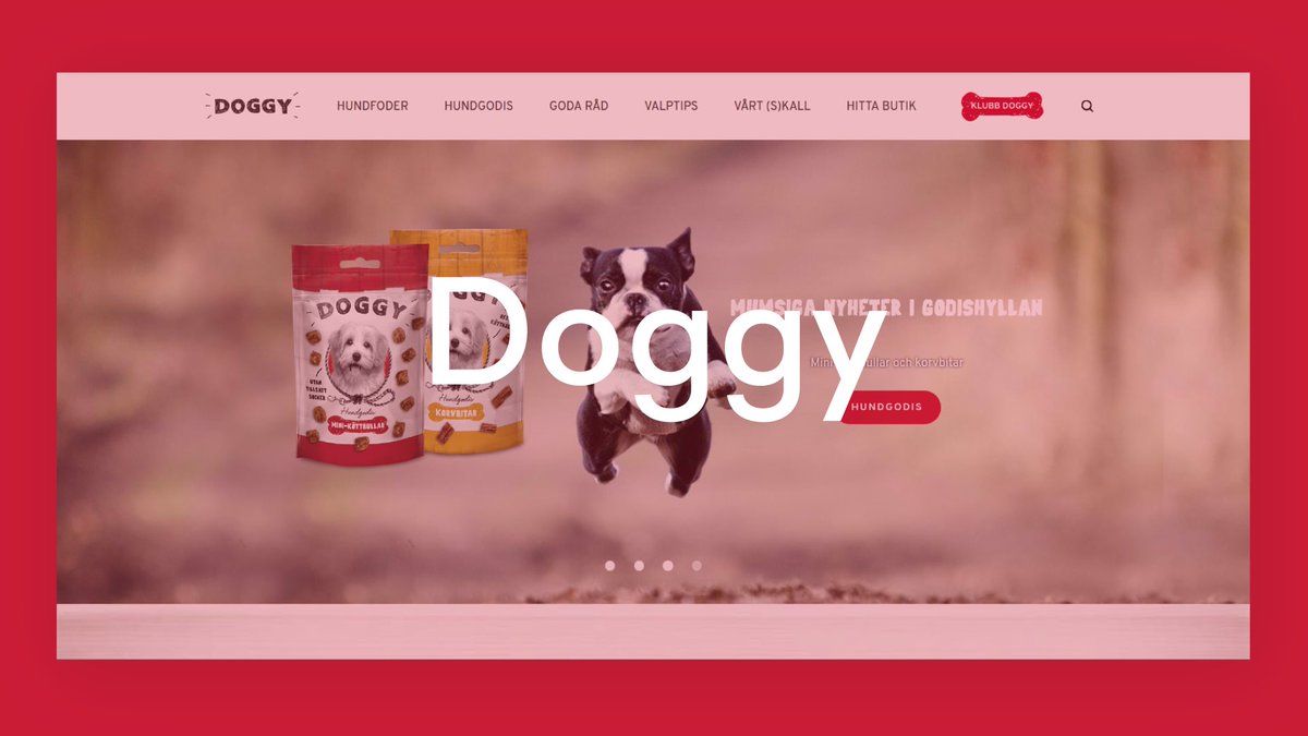 I över 100 år har Doggy lagat god &amp; hälsosam mat till vad som sägs vara människans bästa vän. Riktigt lika lång tid tog det inte för oss att bygga deras site, den är definitivt värd att ta en titt på: doggy.se