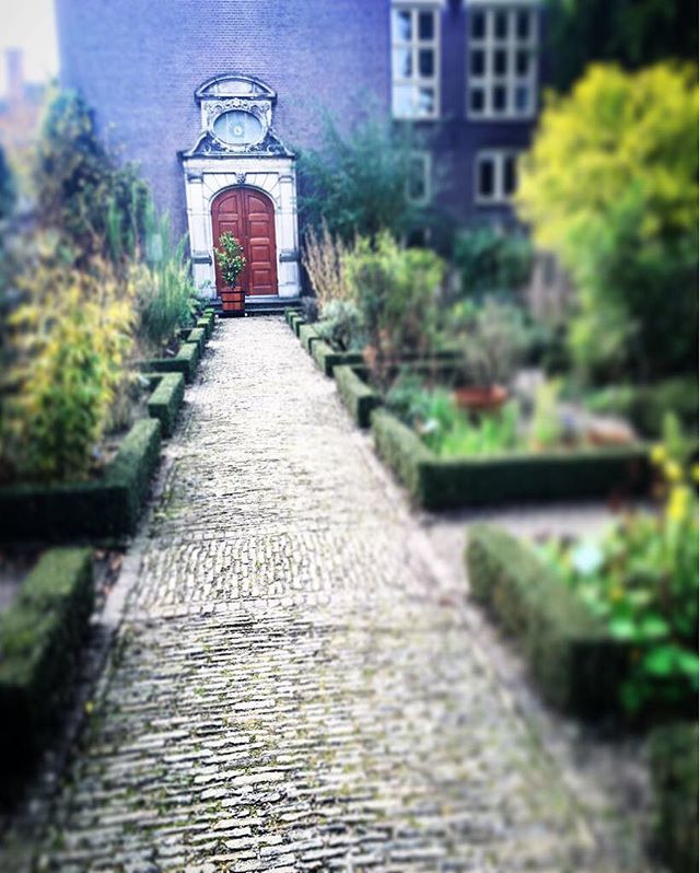 UtrechtMeetings's tweet image. Did you know that after a lunch break a little stroll is the best thing you can do?! It will help you keep focused during the afternoon.
•
•
•
#workmodus #focus #didyouknow #helpfultips #utrechtcitymeetings #takealittlebreak #lunchbreakfun  #workingh… ift.tt/2HwIKxW